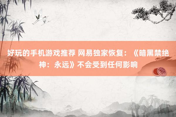 好玩的手机游戏推荐 网易独家恢复：《暗黑禁绝神：永远》不会受到任何影响